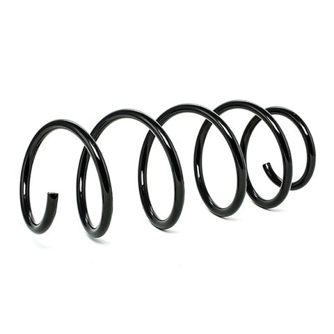 Febi Bilstein 39843 Coil Spring, photo 2