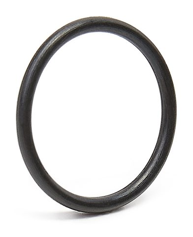 Ridex 4051S0031 Seal Ring, Nozzle Holder