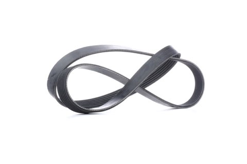 Febi Bilstein 44223 Serpentine Belt