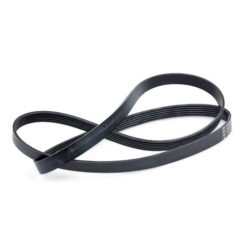 Febi Bilstein 45239 Serpentine Belt, photo 3