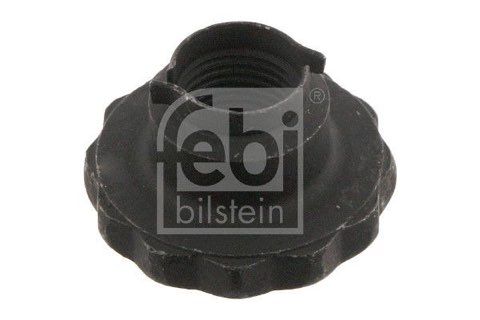 Febi Bilstein 46689 Nut, Stub Axle, photo 2