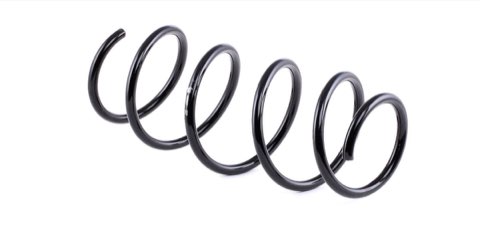 Febi Bilstein 46867 Coil Spring