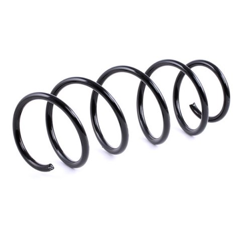 Febi Bilstein 46867 Coil Spring, photo 3