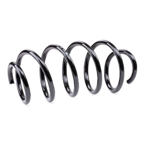 Febi Bilstein 46878 Coil Spring, photo 3
