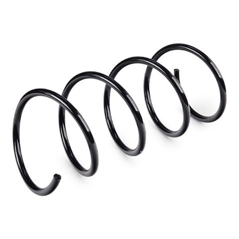 Febi Bilstein 46889 Coil Spring, photo 3