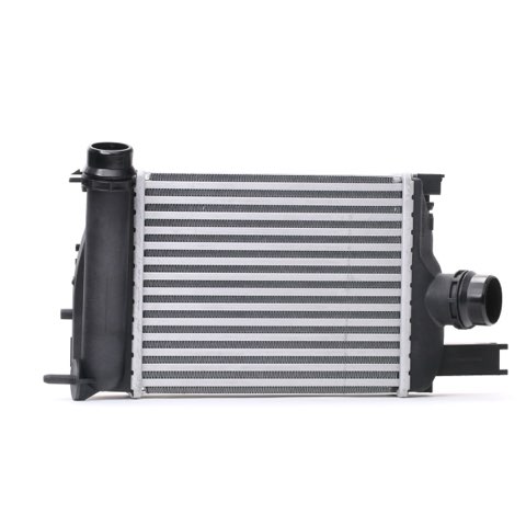 Ridex 468I0117 Intercooler