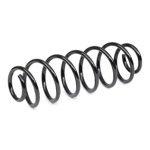 Febi Bilstein 46900 Coil Spring, photo 3