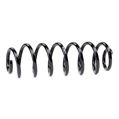 Febi Bilstein 46923 Coil Spring, photo 3