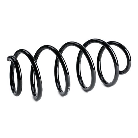 Febi Bilstein 46926 Coil Spring, photo 3