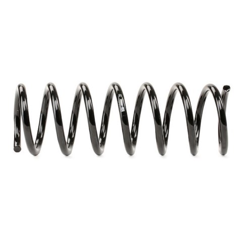 Febi Bilstein 46950 Coil Spring, photo 3