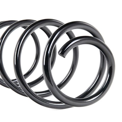 Febi Bilstein 46956 Coil Spring, photo 2