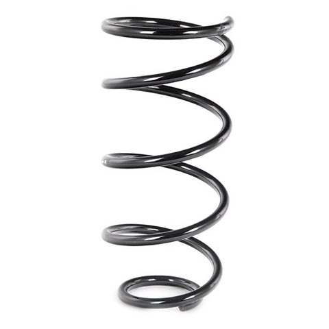 Febi Bilstein 46956 Coil Spring, photo 3