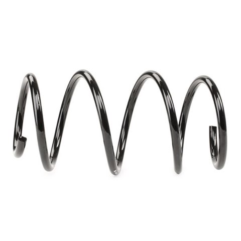 Febi Bilstein 46959 Coil Spring, photo 3