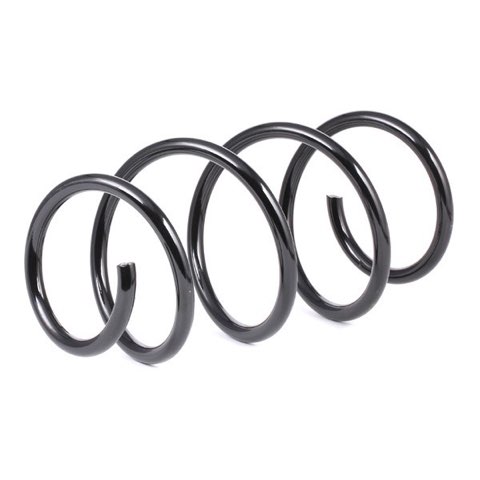 Febi Bilstein 46968 Coil Spring, photo 3