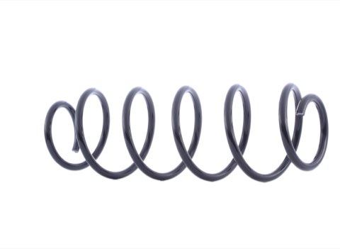 Febi Bilstein 46970 Coil Spring