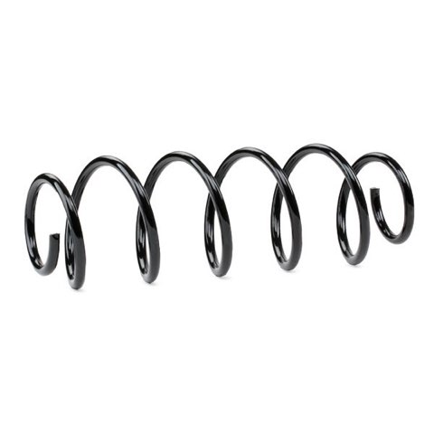 Febi Bilstein 46970 Coil Spring, photo 3
