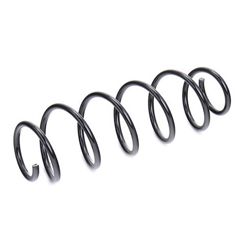 Febi Bilstein 46972 Coil Spring, photo 3