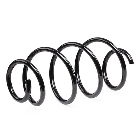 Febi Bilstein 46974 Coil Spring, photo 3