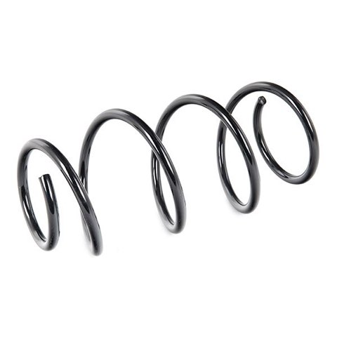 Febi Bilstein 46976 Coil Spring, photo 3