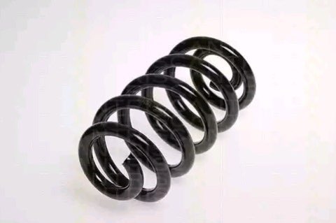 Febi Bilstein 47247 Coil Spring