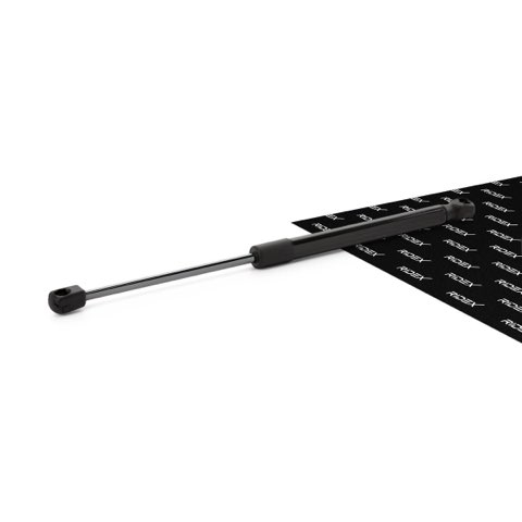 Ridex 514G0048 Bonnet Strut