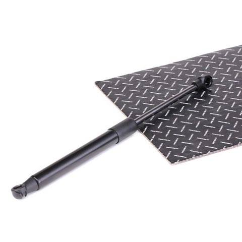 Ridex 514G0064 Bonnet Strut, photo 3