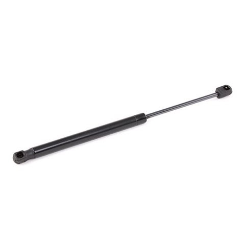 Ridex 514G0094 Bonnet Strut, photo 2