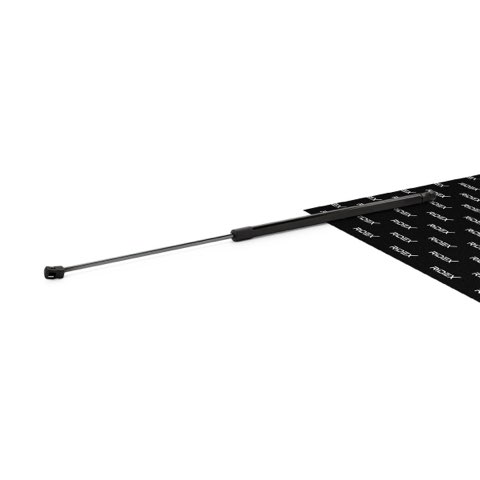 Ridex 514G0100 Bonnet Strut