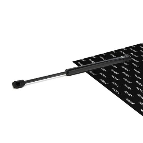 Ridex 514G0164 Bonnet Strut, photo 2