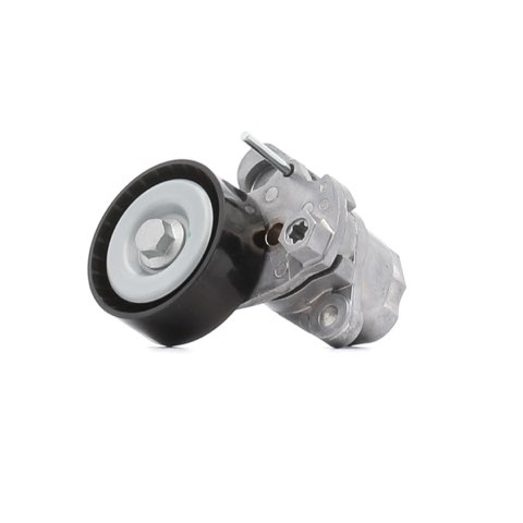 Ridex 540T0032 Tensioner Lever, V-Ribbed Belt
