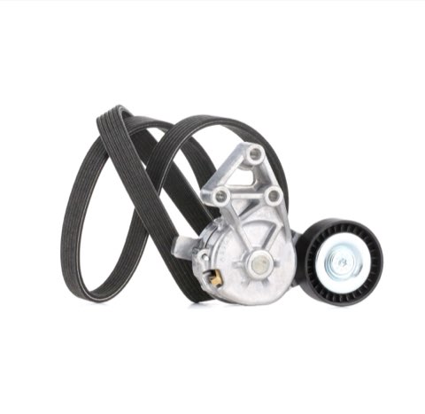 Ridex 542R0004 V-Ribbed Belt Set