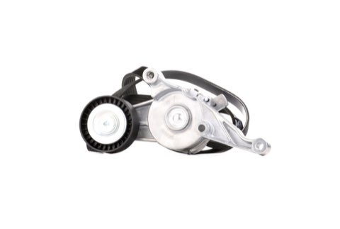 Ridex 542R0007 V-Ribbed Belt Set