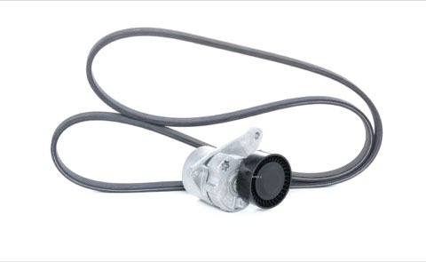 Ridex 542R0009 V-Ribbed Belt Set