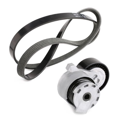 Ridex 542R0011 V-Ribbed Belt Set, photo 3