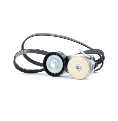 Ridex 542R0016 V-Ribbed Belt Set