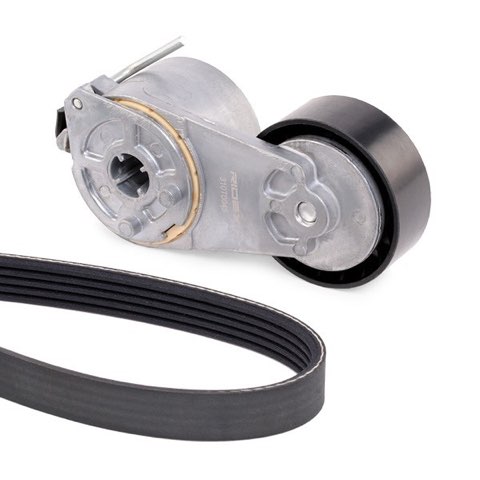 Ridex 542R0016 V-Ribbed Belt Set, photo 3