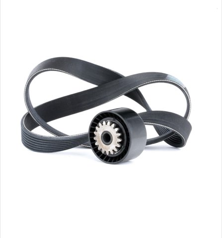Ridex 542R0017 V-Ribbed Belt Set