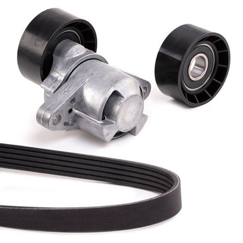 Ridex 542R0019 V-Ribbed Belt Set, photo 3