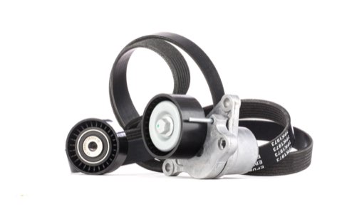 Ridex 542R0022 V-Ribbed Belt Set