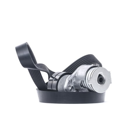 Ridex 542R0029 V-Ribbed Belt Set