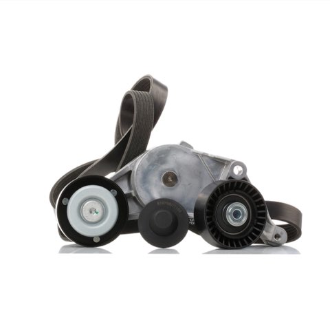 Ridex 542R0030 V-Ribbed Belt Set