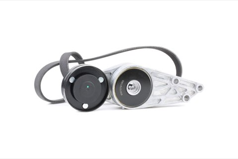 Ridex 542R0031 V-Ribbed Belt Set