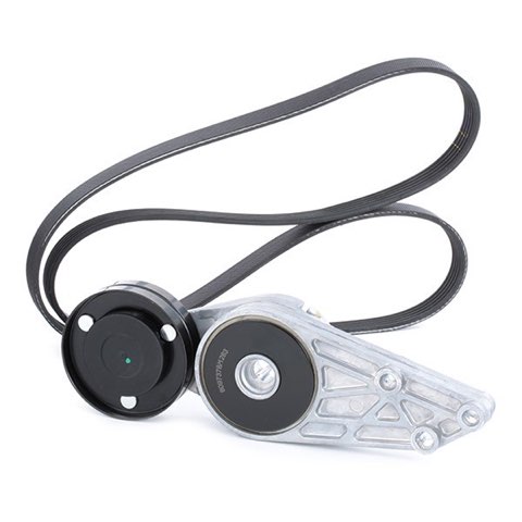 Ridex 542R0031 V-Ribbed Belt Set, photo 3
