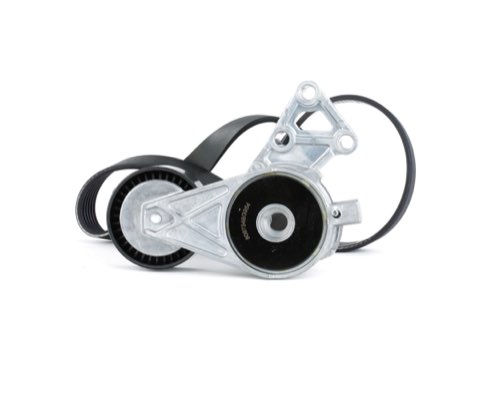Ridex 542R0045 V-Ribbed Belt Set