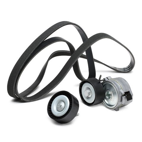 Ridex 542R0046 V-Ribbed Belt Set, photo 3