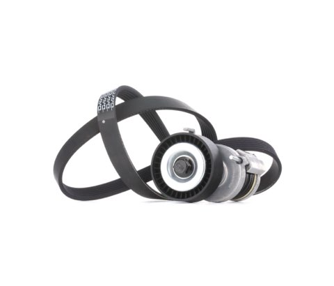 Ridex 542R0049 V-Ribbed Belt Set