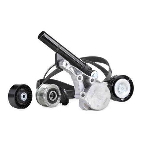 Ridex 542R0054 V-Ribbed Belt Set, photo 3