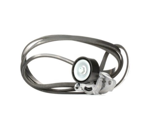 Ridex 542R0056 V-Ribbed Belt Set