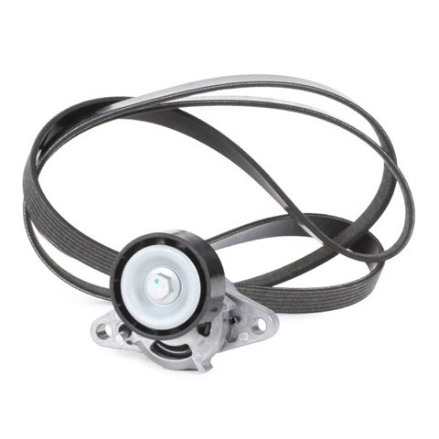 Ridex 542R0056 V-Ribbed Belt Set, photo 3