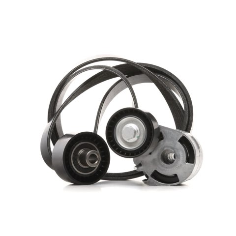Ridex 542R0062 V-Ribbed Belt Set